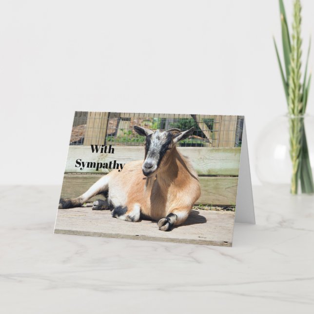 Cute Brown Goat Sleeping Photo Sympathy Card (Front)