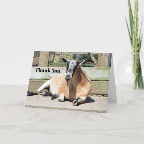 Cute Brown Goat Sleeping Photo Thank You Card