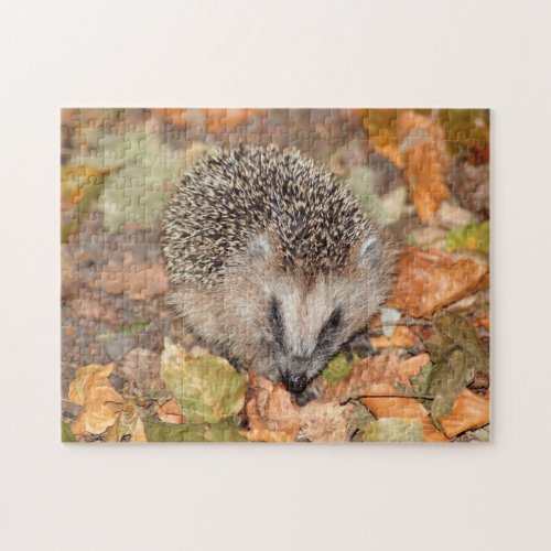 Cute Brown Hedgehog on Leaves Jigsaw Puzzle