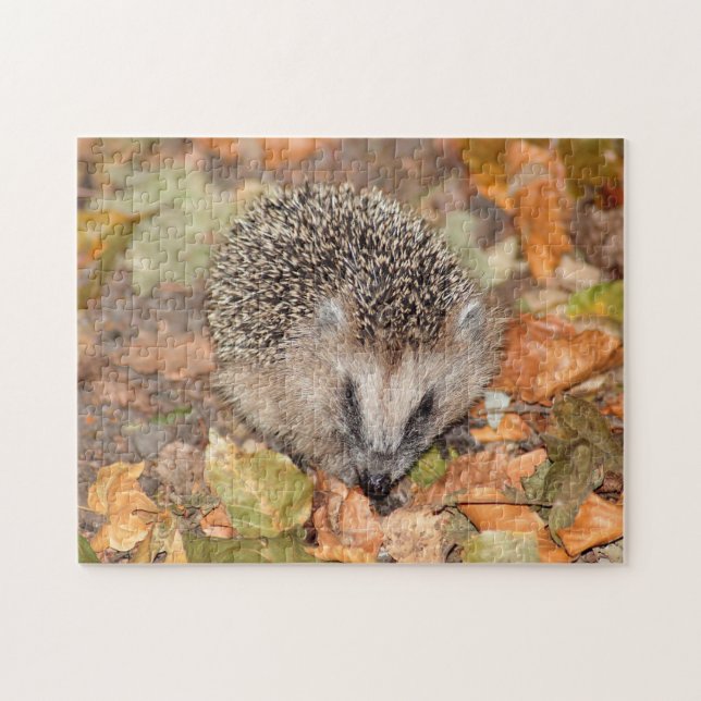 Cute Brown Hedgehog on Leaves Jigsaw Puzzle (Horizontal)