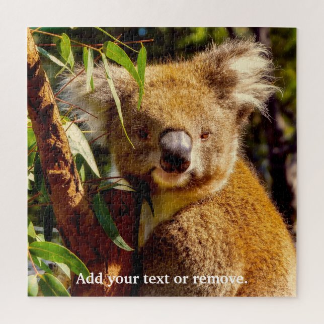 Cute brown koala bear eating eucalyptus leaves, jigsaw puzzle (Vertical)