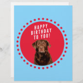 Cute Brown Labrador Retriever Dog Happy Birthday (Front/Back)