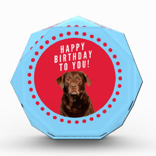 Cute Brown Labrador Retriever Dog Happy Birthday Award