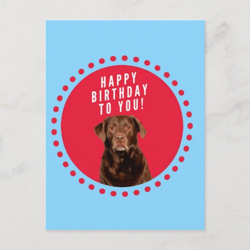 Cute Brown Labrador Retriever Dog Happy Birthday Postcard