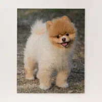 https://rlv.zcache.com/cute_brown_pomeranian_puppy_dog_jigsaw_puzzle-rcca3f1787d594e1f8e81dcf56b5be030_e77ui_8byvr_200.webp