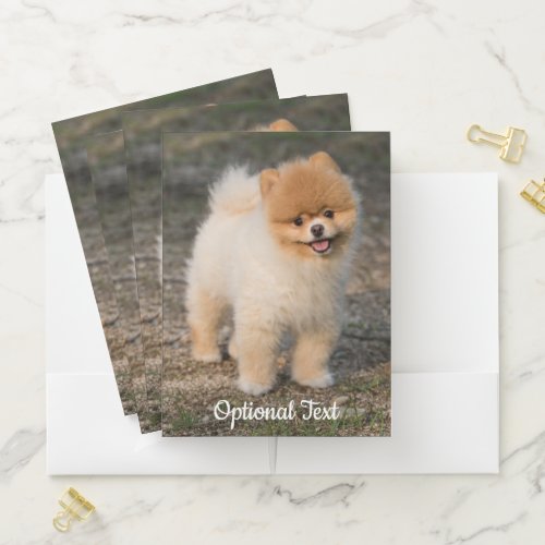 Cute Brown Pomeranian Puppy Dog Pocket Folder