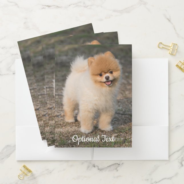 Cute Brown Pomeranian Puppy Dog Pocket Folder (In Situ)