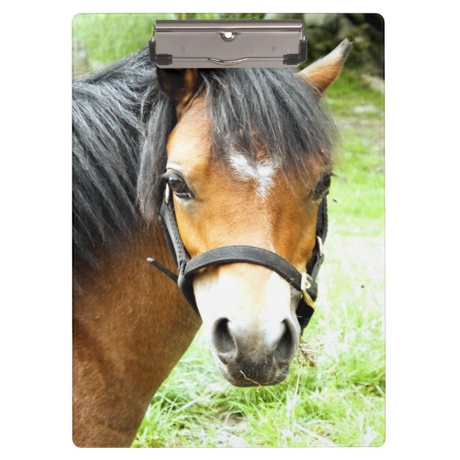 CUTE BROWN PONY    CLIPBOARD (Front)