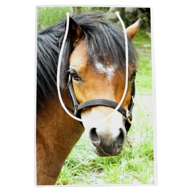 CUTE BROWN PONY   MEDIUM GIFT BAG (Front)