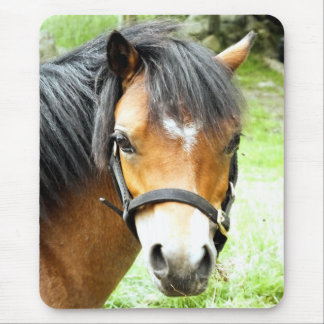 CUTE BROWN PONY MOUSE PAD