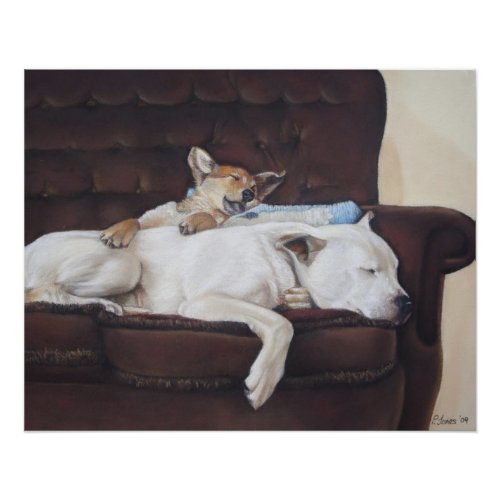 cute brown puppy cuddling white american bulldog poster