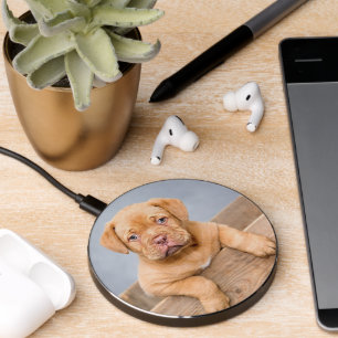 Cute Brown Puppy Dog Newest House Pet Photography Wireless Charger