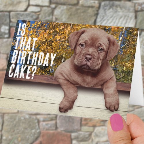 Cute Brown Puppy Photo Template Birthday