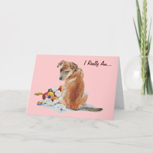 Cute brown puppy with teddy dog looking sorry card