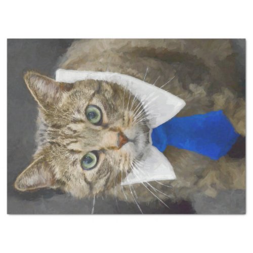 Cute Brown Tabby Cat Decoupage Tissue Paper