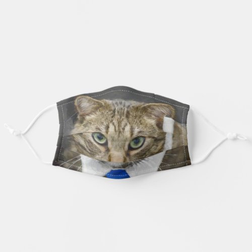 Cute Brown Tabby Cat Green Eyes Blue Tie Adult Cloth Face Mask
