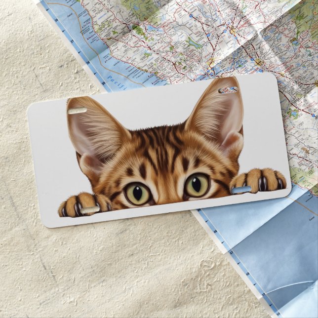 CUTE BROWN TABBY PEEKING CAT LICENSE PLATE (In Situ)
