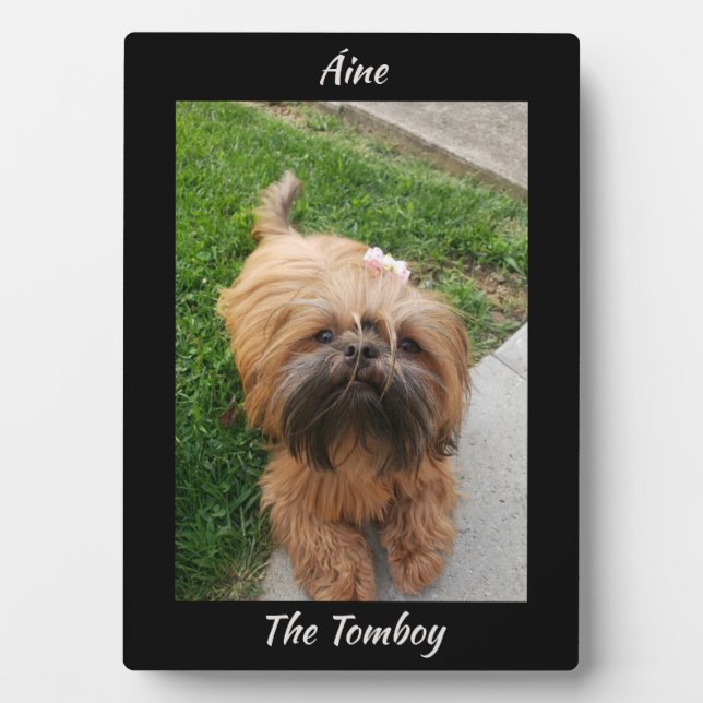 Cute Brown  Tomboy Yorkshire Terrier Plaque (Front)