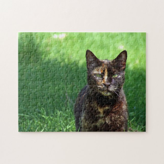 Cute Brown Tortoiseshell Cat Photo Jigsaw Puzzle (Horizontal)