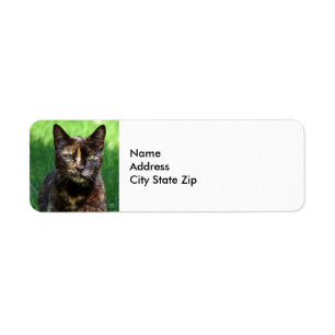 Cute Brown Tortoiseshell Cat Photo Label