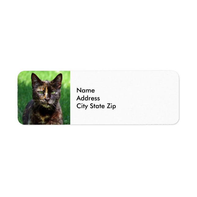 Cute Brown Tortoiseshell Cat Photo Label (Front)