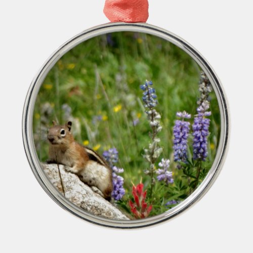 Cute Brown White Chipmunk Metal Ornament