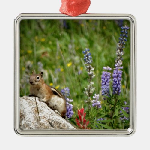 Cute Brown White Chipmunk Metal Ornament