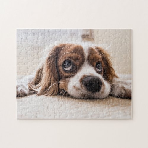 Cute Brown White Dog Spaniel Sad Eyes Jigsaw Puzzle