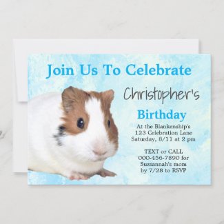 Cute Brown White  Guinea Pig Custom Party