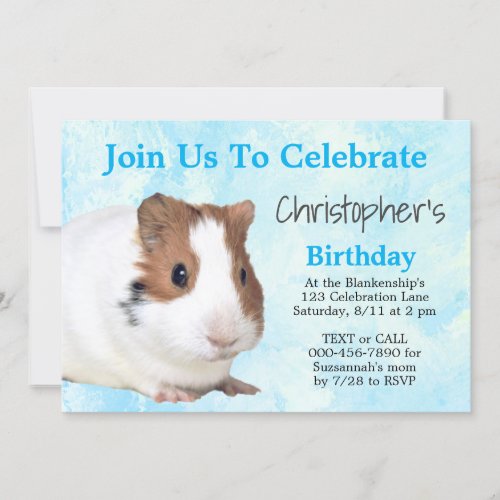 Cute Brown White  Guinea Pig Custom Party