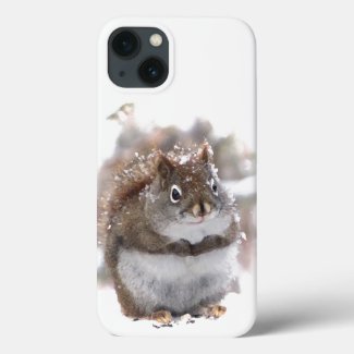 Cute Brown White Squirrel Animal iPhone 13 Case