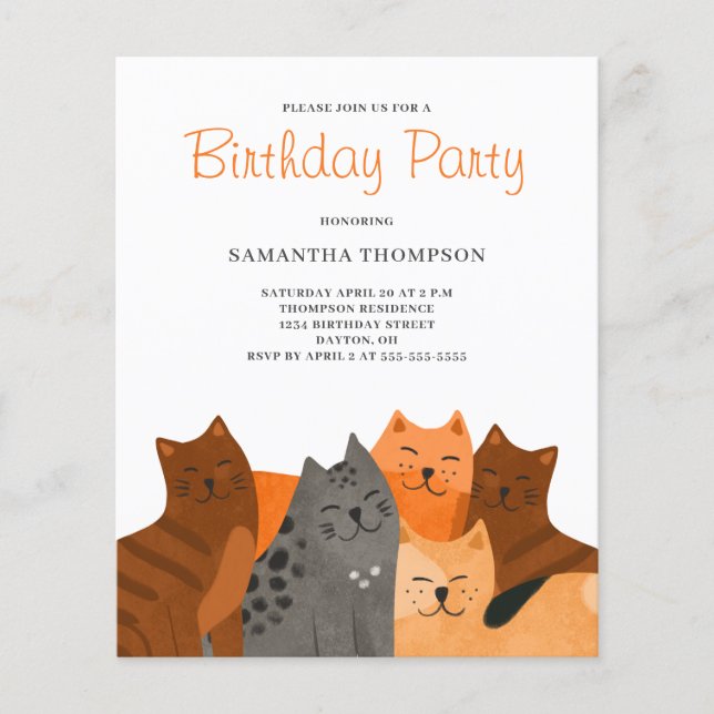 Cute Budget Cat Birthday Party Invitation Flyer (Front)