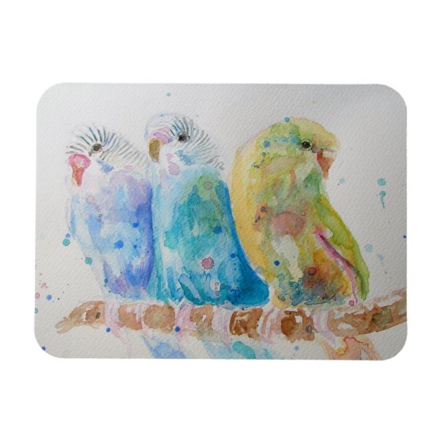 Cute Budgie budgies bird Watercolour Art Magnet (Horizontal)