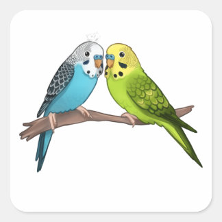 Cute Budgies Square Sticker