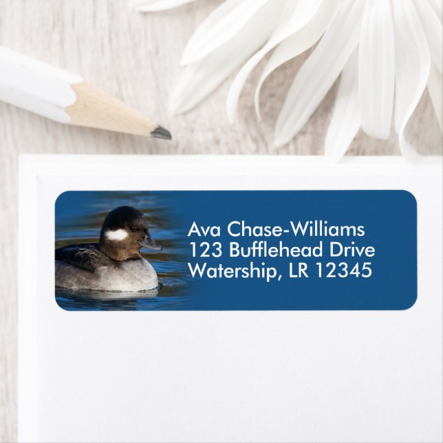 Cute Bufflehead Duck at the Pond Label (Insitu)