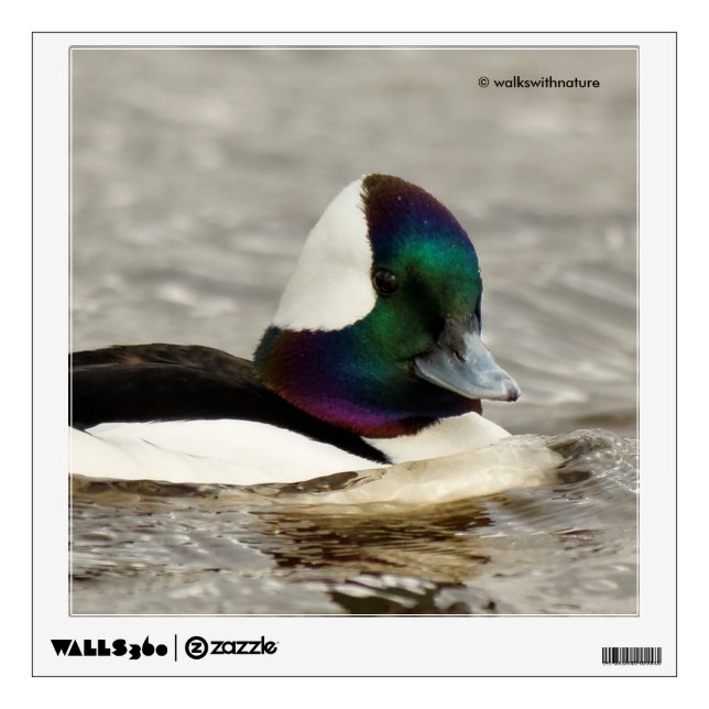 Cute Bufflehead Duck at the Pond Wall Decal (Front)
