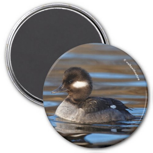 Cute Bufflehead Duck on Sunlit Waters Magnet