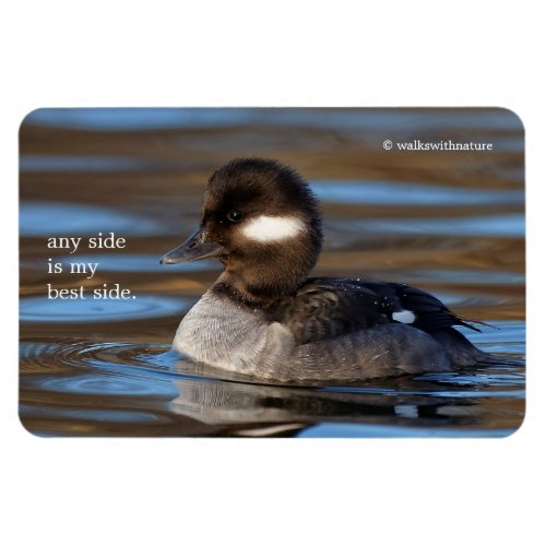 Cute Bufflehead Duck on Sunlit Waters Magnet