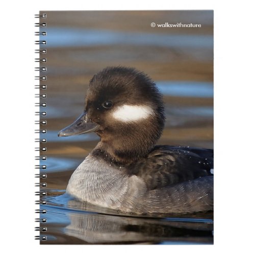 Cute Bufflehead Duck on Sunlit Waters Notebook