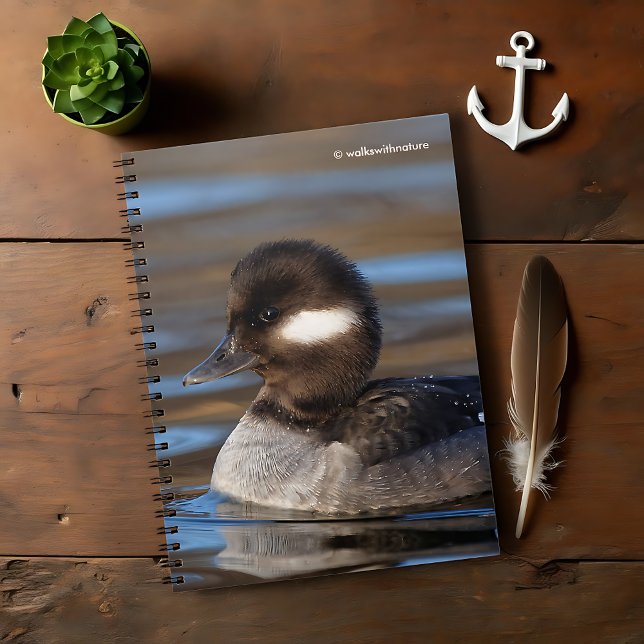 Cute Bufflehead Duck on Sunlit Waters Notebook (Cute Bufflehead Duck on Sunlit Waters Journal Cover Photo)