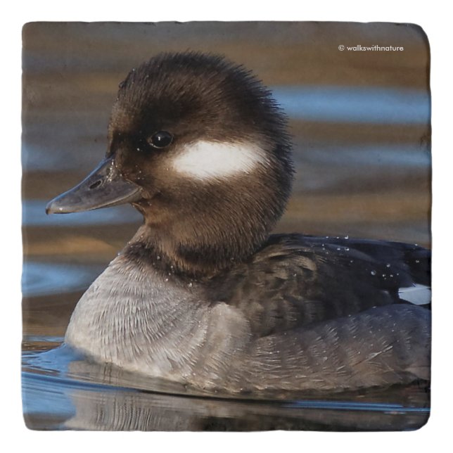 Cute Bufflehead Duck on Sunlit Waters Trivet (Front)