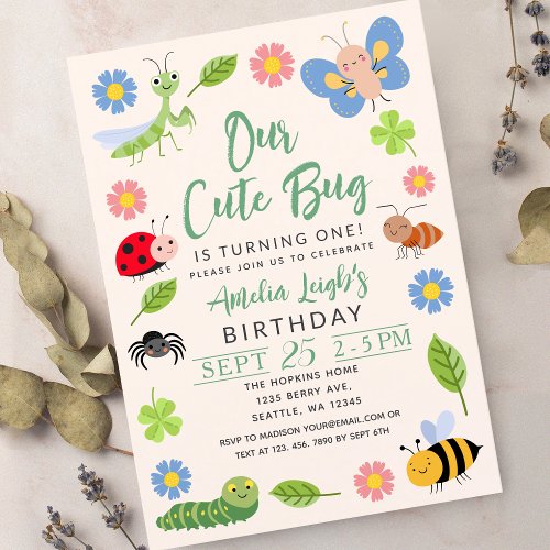 Cute Bug Ladybug Buttefly Kids 1st Birthday Party