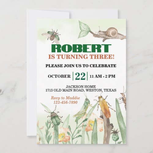 Cute Bugs and Snail Birthday Invitation