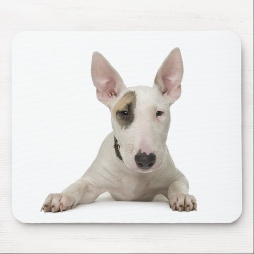 Cute Bull Terrier Mom Puppy Dad Dog Lover Rescue Mouse Pad