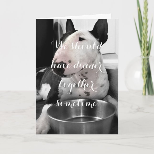Cute Bull Terrier Photo Greeting Card "Dinner" (Front)