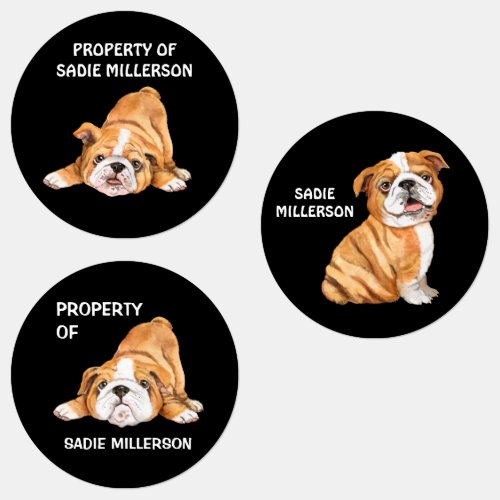 Cute Bulldog Childs Name Class Kids Labels