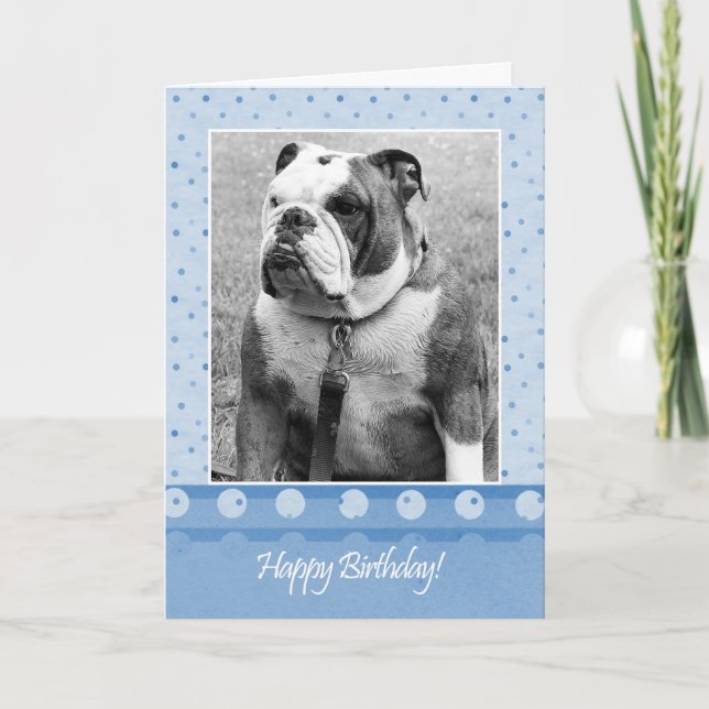 Cute Bulldog Happy Birthday Blue dot Greeting Card (Front)
