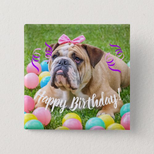 Cute Bulldog Happy Birthday Pinback Button