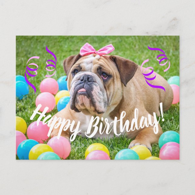 Cute Bulldog Happy Birthday Postcard (Front)