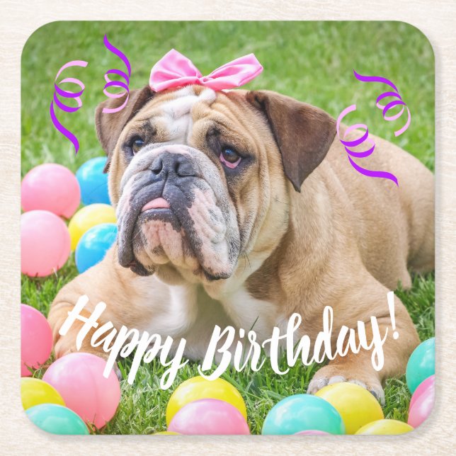 Cute Bulldog Happy Birthday Square Paper Coaster (Front)